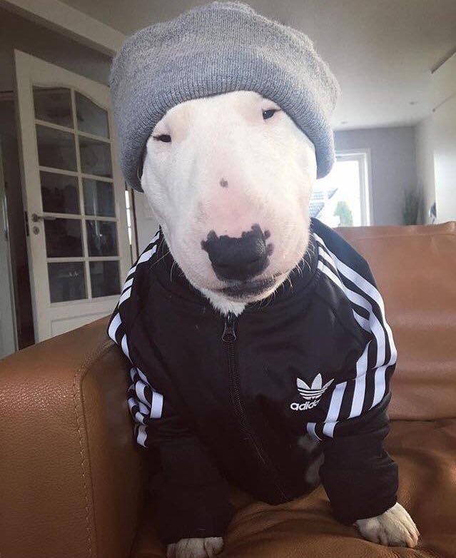 Бро, айда курнём