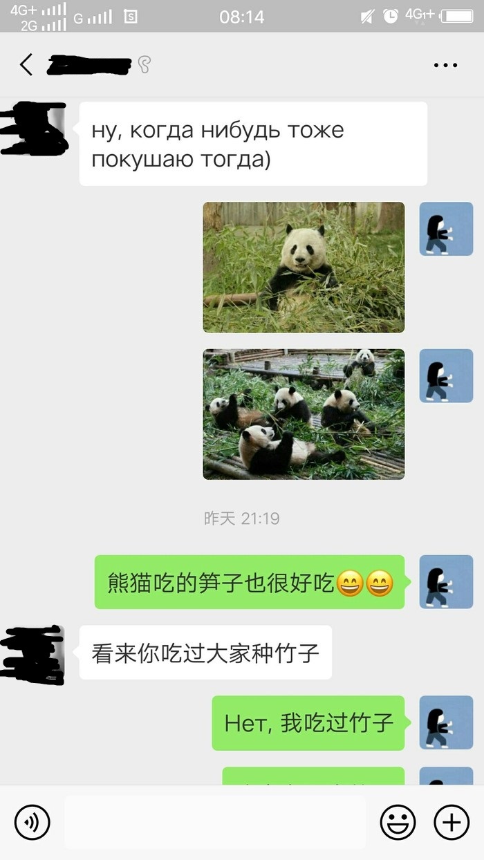 Thanks everyone! - My, China, About me, Proof, Panda, Chengdu, Not fake, Longpost