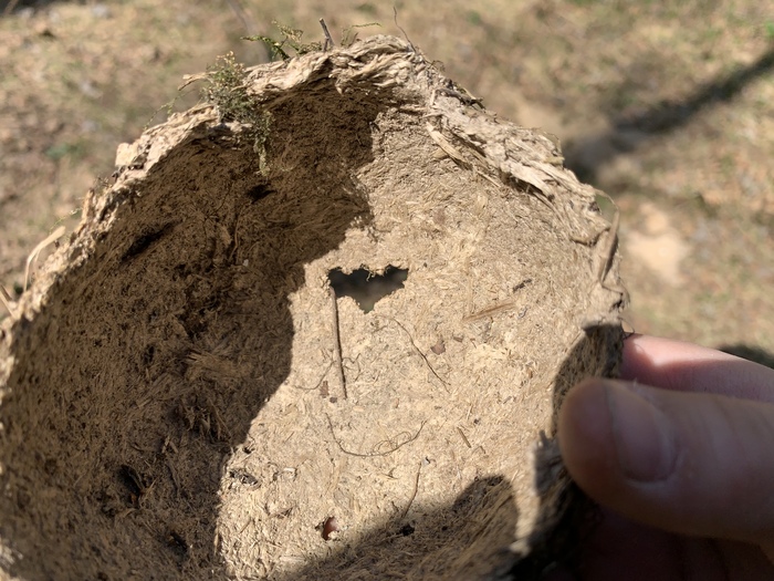 ������ �������