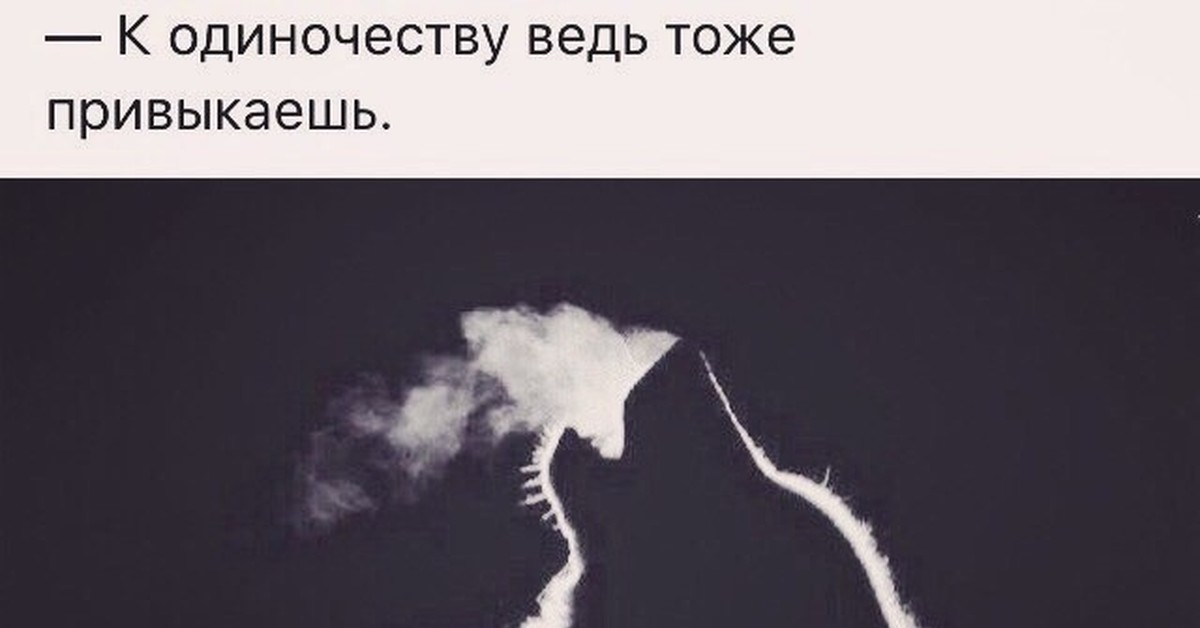 Ведь тоже