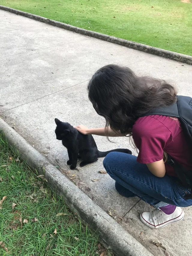 Sometimes in life you just need to stop. And pet the cat. - Pets, cat