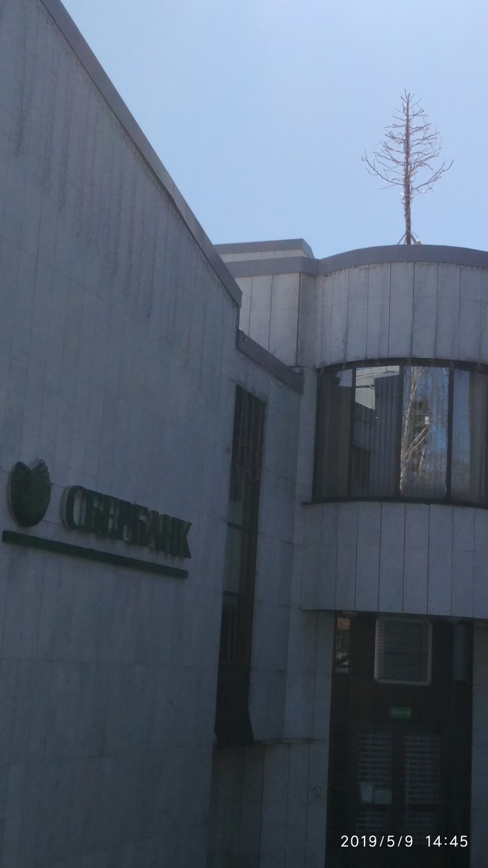 Не сдались!