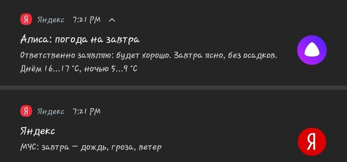 Алиса погода. Яндекс Алиса. Alisa Яндекс. Алиса завтра будет дождь или нет.