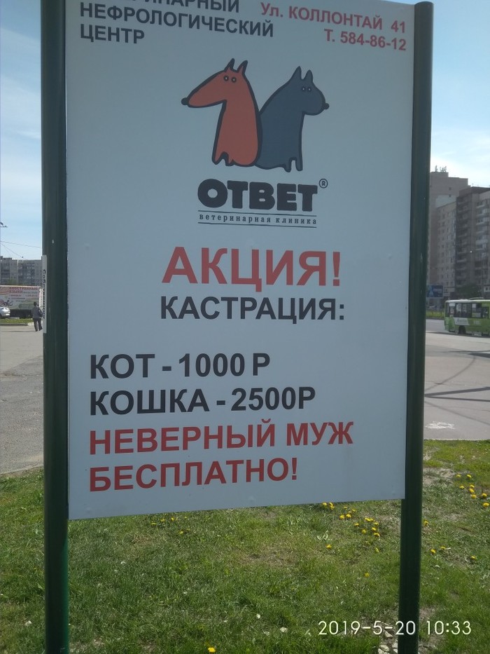 Мужей жалко!