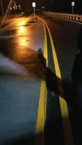 Спасибо, мужик