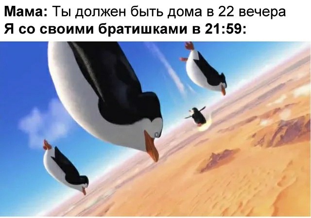 A life - Memes, Pinguins from Madagascar