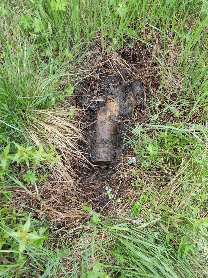 Сходил за грибами...