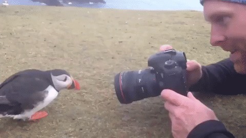 Перефоткай, мне не нравится