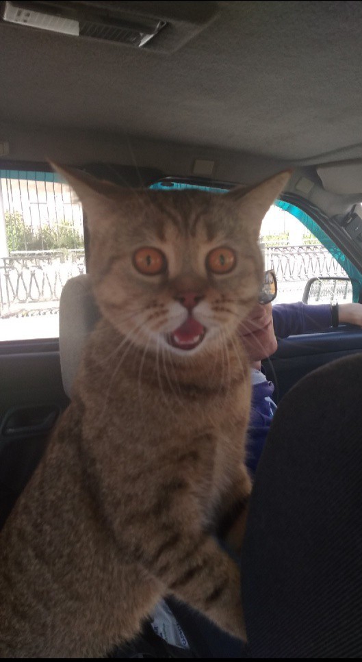 ����� ������,��� ����� �� ������������