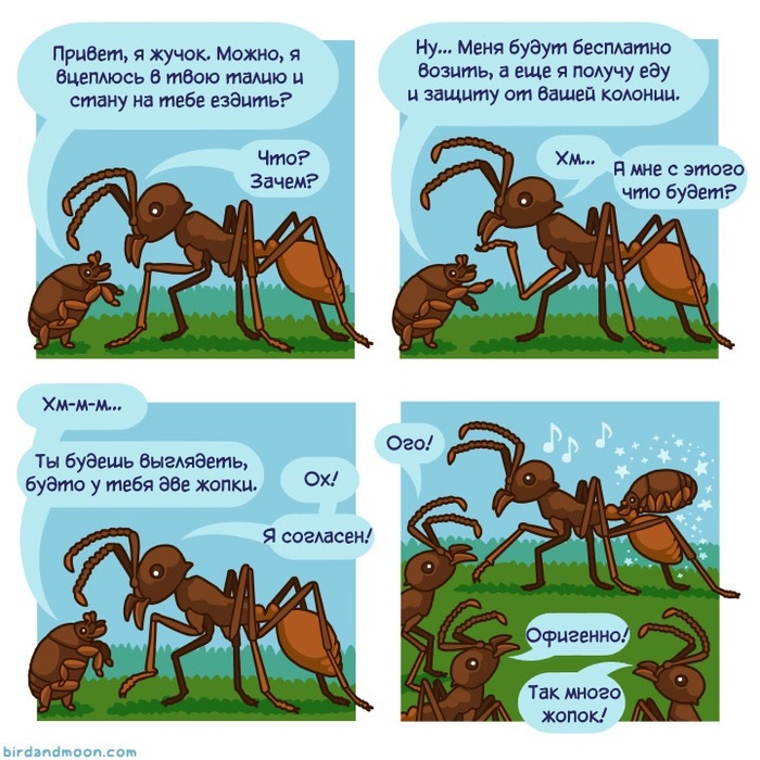 Bug - Comics, Translated by myself, Birdandmoon