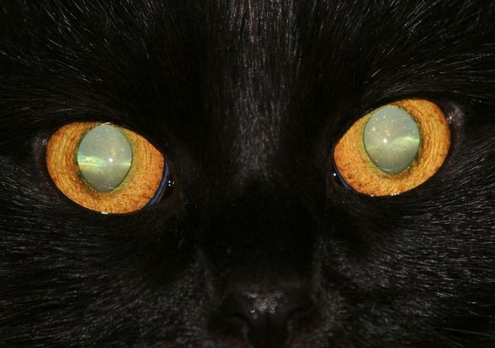 Oh my God, it's full of stars