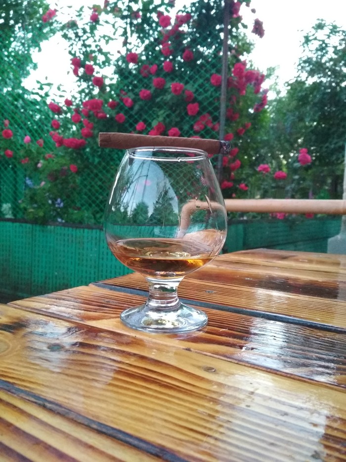Happy first day of summer everyone! - My, Cognac, The photo, Cigar