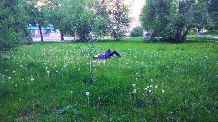 Resting beautifully - Relaxation, My, Dandelion