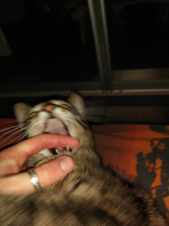 ������ ����� ����