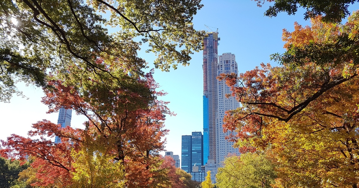 Йорке осенью. Осень в Нью-Йорке» (autumn in New York), 2000. Нью-Йорк осень центарльный парк кофе. Долли осень в Нью Йорке. Франкфурт на Майне осень.