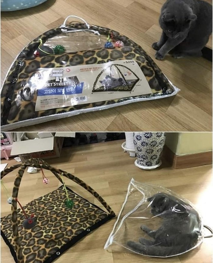 ����� ������� ��� ������������