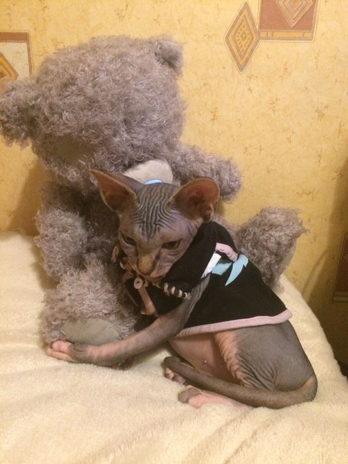  ! ,  , , 