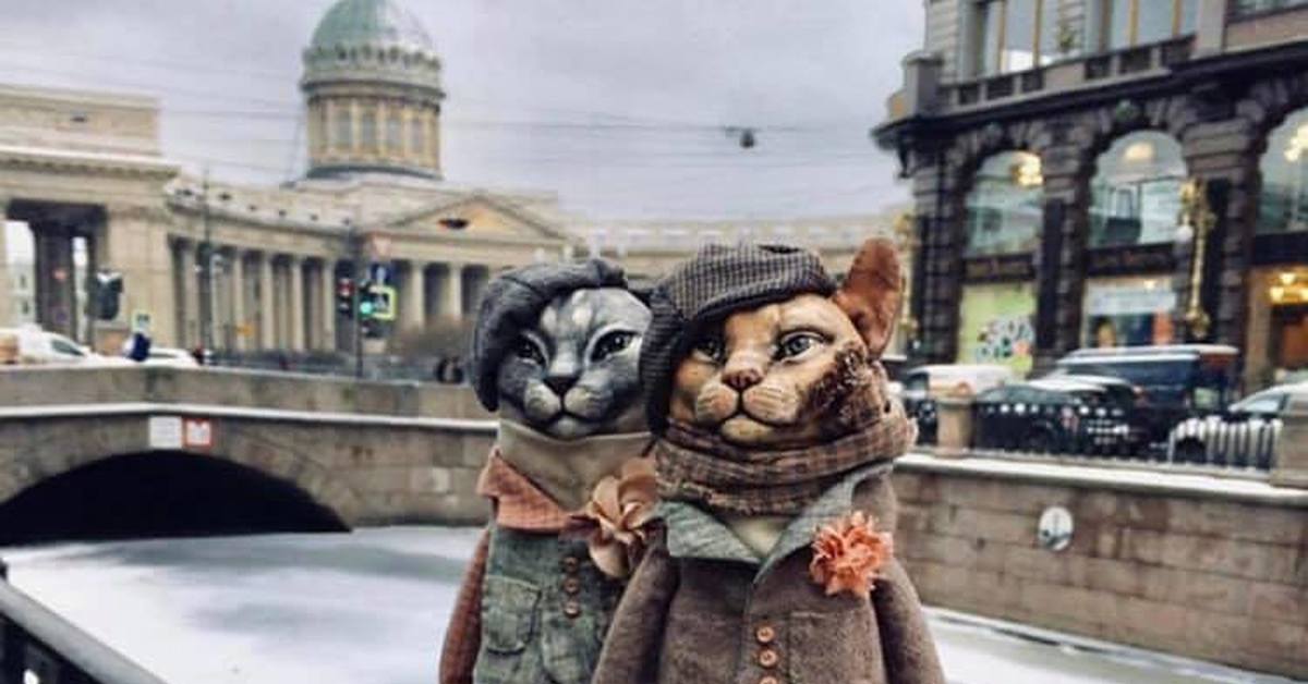 Кошки сфинксы в санкт петербурге