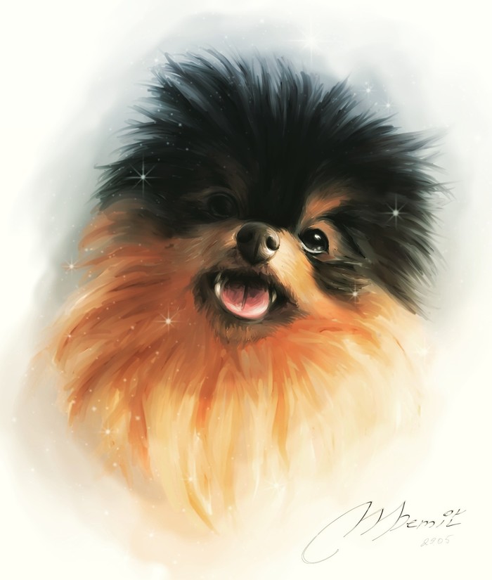 A cute puppy in your feed. - My, Spitz, Art, Digital drawing, Dog, Puppies, Animals, Animalistics, Drawing
