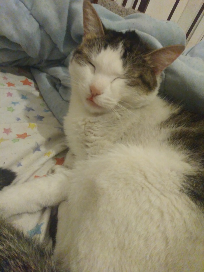 Личные границы и семейные отношения