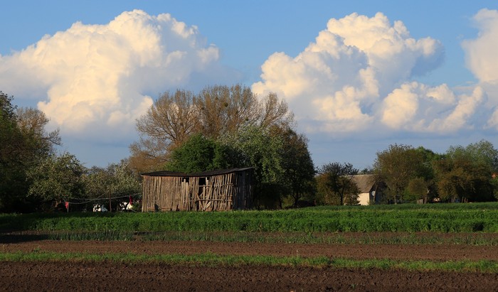 � ������� ������ �������