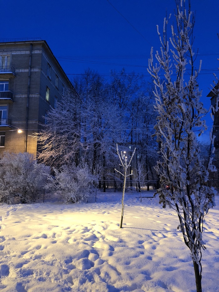 Winter evening - My, Mobile photography, Winter, Evening, The photo