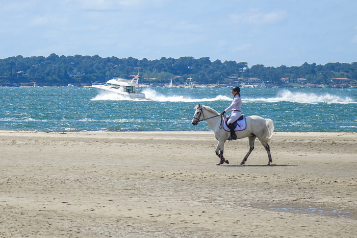 Jumping des Sables.  , , , , , 
