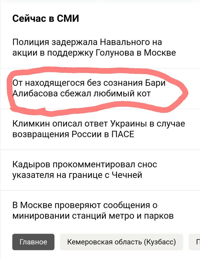 Important news today - cat, Rave, Nonsense, Yandex News