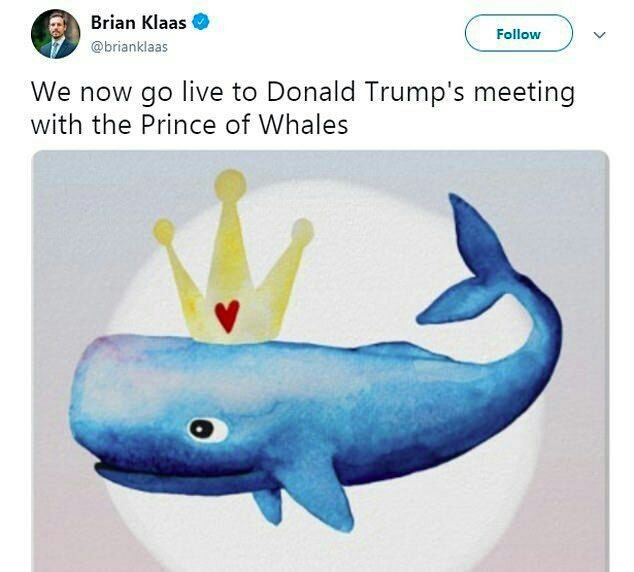 Worth the mistake once - Typo, Lost in translation, Longpost, Donald Trump, Wales, Whale