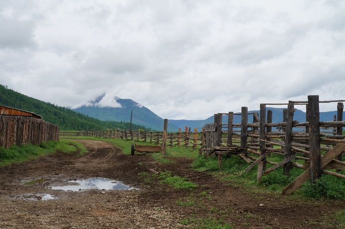 My love for you, Tunka! - My, Tunka Valley, Nature, Longpost