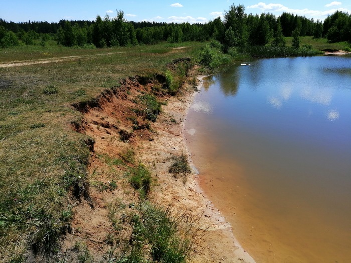 Pond cleaning - My, South, Southerners, Chistoman, Pond, Longpost