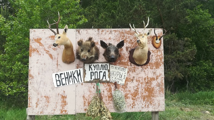 Пикабу родненький помоги! - Моё, Автостоп, Беда, Пикабу спаси, Помощь