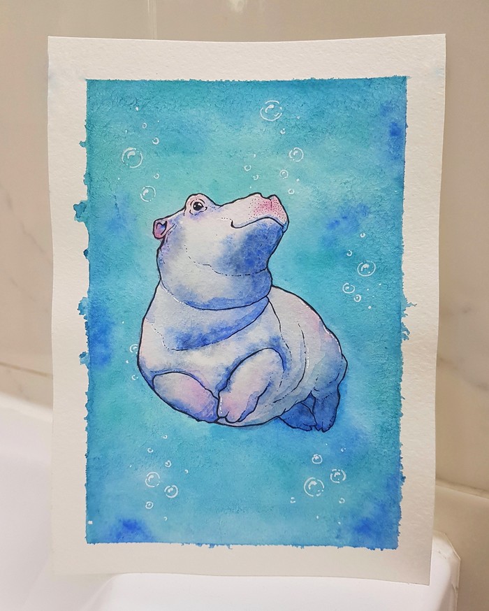 cute hippo - My, Wet watercolor, Watercolor, Drawing, hippopotamus