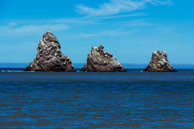 North of Sakhalin from a car window. - My, Sakhalin, Alexandrovsk-Sakhalinsky, Travel across Russia, Budget travel, Longpost