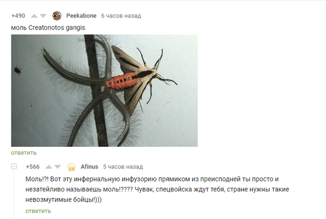 Moth - Comments, Comments on Peekaboo, Screenshot, Moth