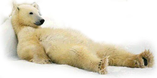 ������ � ����������