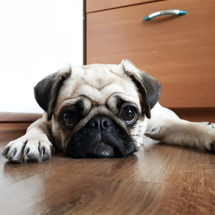 ��������� ��������� �����