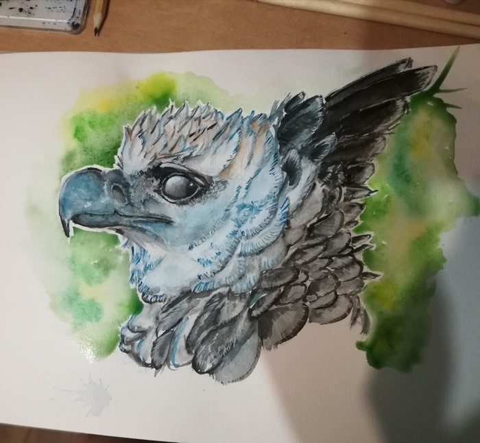 Griffin - My, Watercolor, Griffin, Drawing