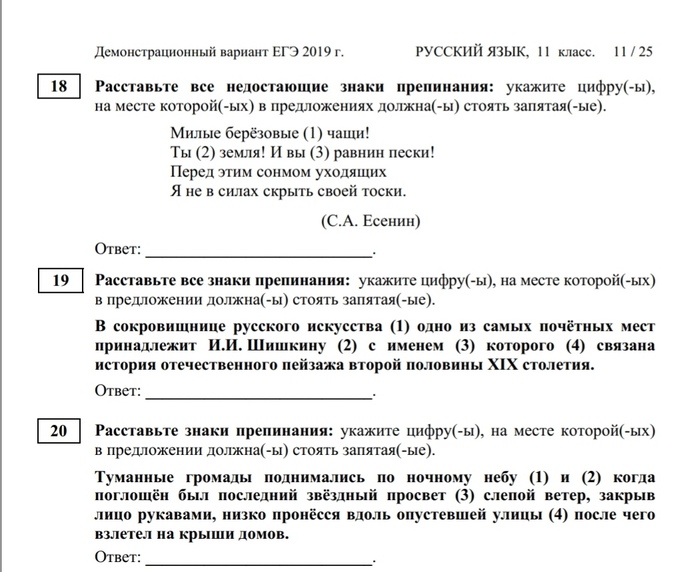 ЕГЭ по русскому языку - что это, как это и насколько все сложно? ЕГЭ, Русский язык, Длиннопост, Репетитор