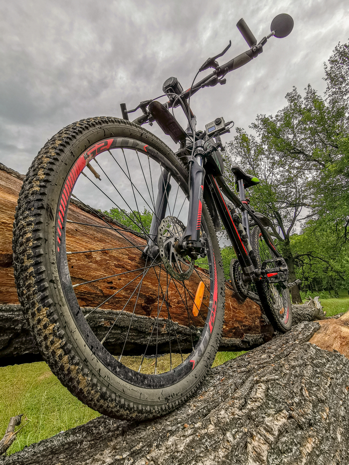 Photo bike ride - My, Dzerzhinsk, Longpost, Mobile photography, Huawei mate 20, Macro, A bike, Nature, Plants, Macro photography