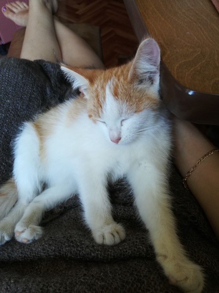 � ��� �����?