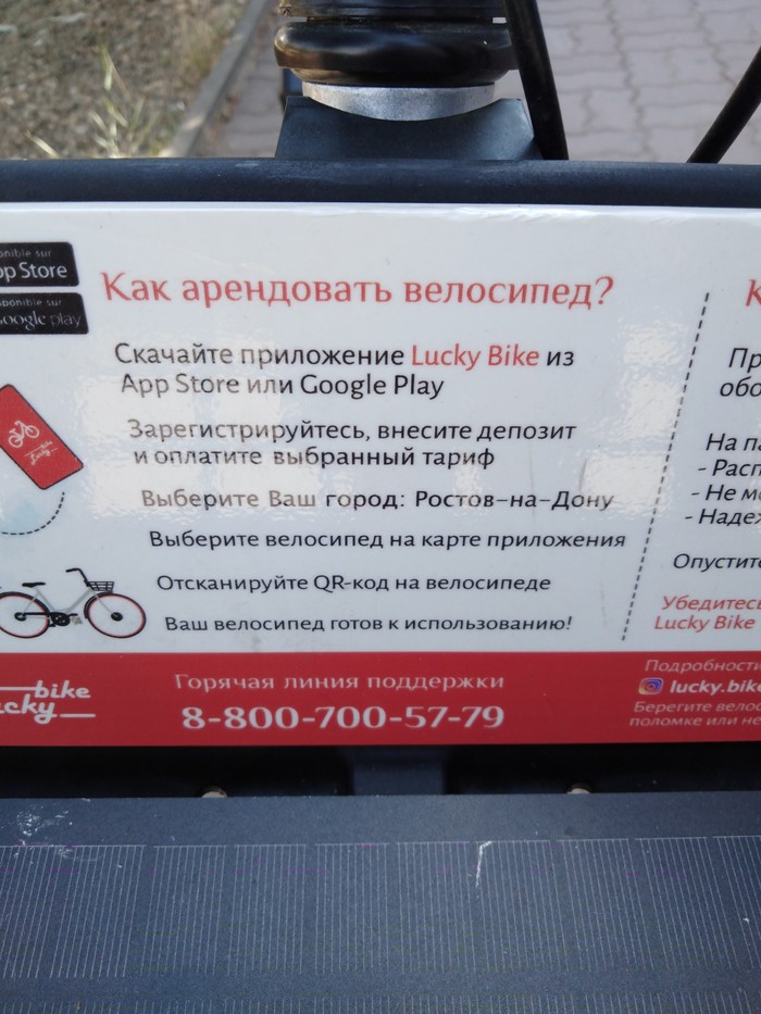 Аренда велосипедов. | Пикабу