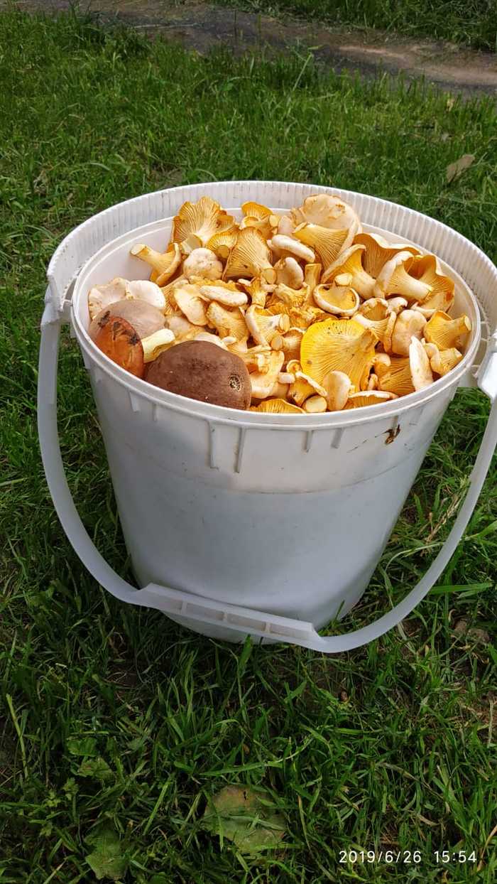 ������ ������.������ 2 ������ �����