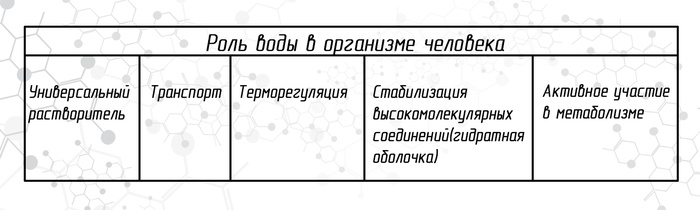 Îáìåí âîäû è ìèíåðàëîâ â îðãàíèçìå ÷åëîâåêà. Trenerzaycev, Òðåíèðîâêà, Ïèòàíèå, Ñïîðò, Áèîõèìèÿ, Íàóêà, Äëèííîïîñò, Îáìåí âåùåñòâ