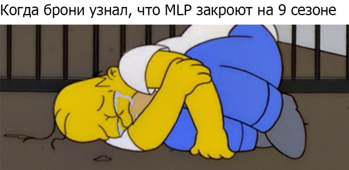 End of MLP G4 - My, Memes, The Simpsons, My little pony, Last season
