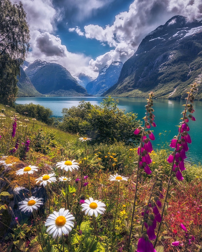 Lake Lovatnet - Nature, beauty of nature, Norway, The photo, Landscape, Lake