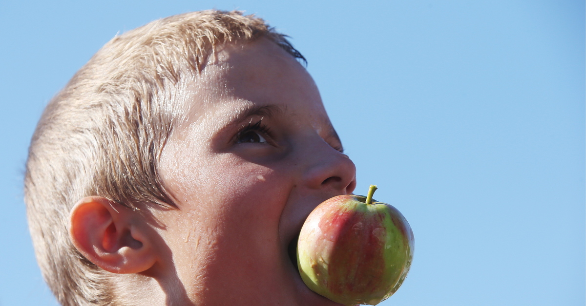 100 яблок. Canadian Apples Scientist.