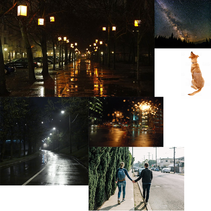 /Girl with a dog on the park/ Photoshop, ,  , , , Collage, 