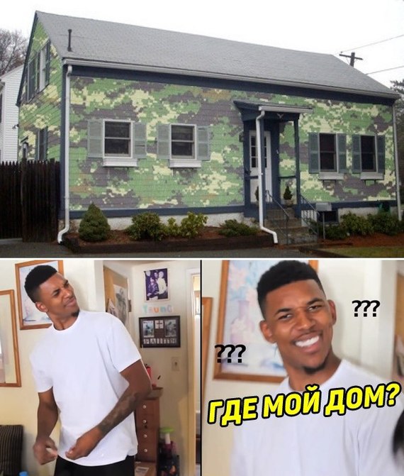 Camouflage in action - Camouflage, House, Memes, Images, Humor