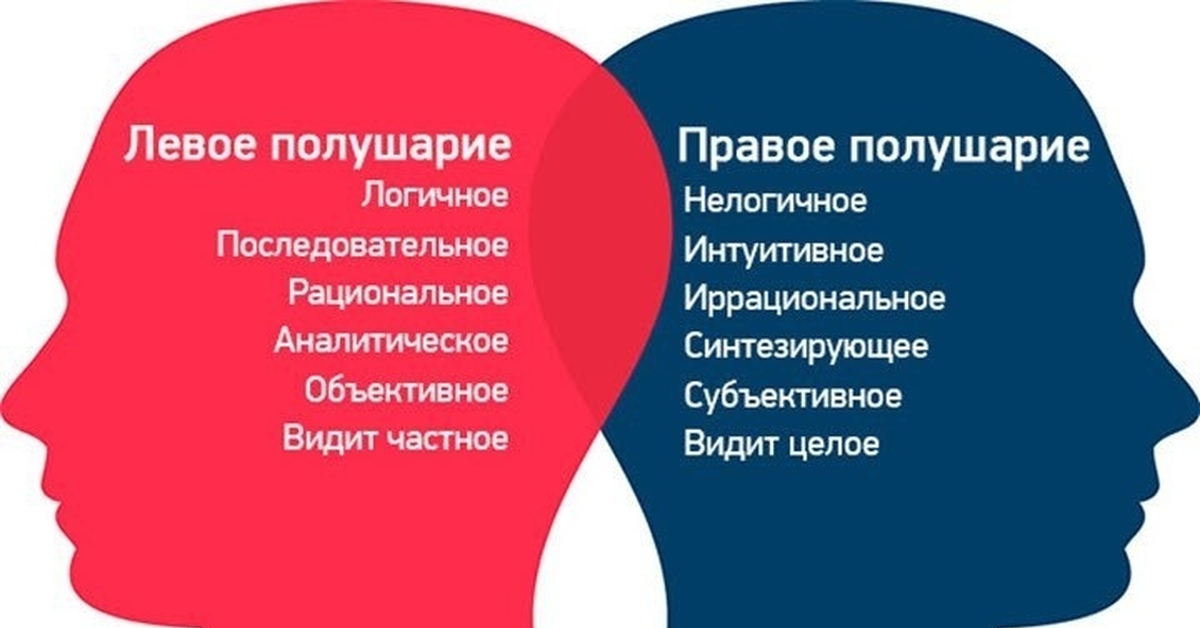 За что отвечает левое. Левое полушарие и правое полушарие. Левое и правое полушарие мозга. Левое и правое пполушарие могзгпа. Право е и левое полшарие.